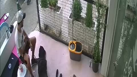 Real animal attack