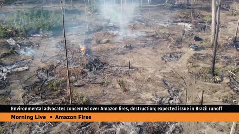 Burning Amazon expected to be issue in Brazil's run-off election