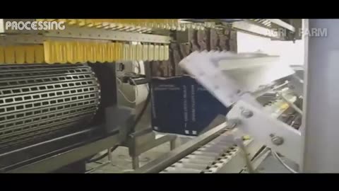 How to make ice cream Ice Cream Factory Production and packaging process