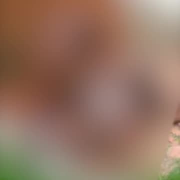 Pareja teniendo relaciones en muralla