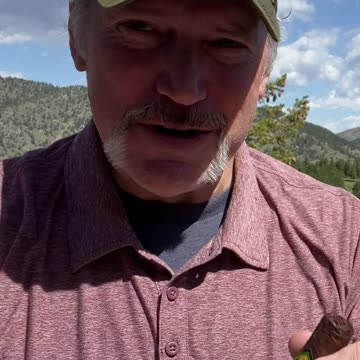 I'm Technology and I'm Here to Help | Whiskey Words Shorts