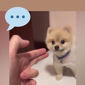 I am not afraid of you