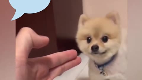 I am not afraid of you