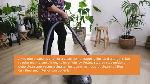What Are The Best Carpet Cleaning Tips For Every Tenant?