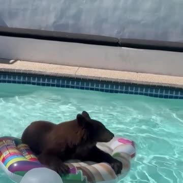 Unexpected visitors always welcome