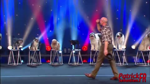 Wolfgang Lauenburger - Dressage de Chiens - Le Plus Grand Cabaret Du Monde