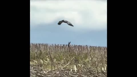 🤣Try not to laugh 🤣 part-7