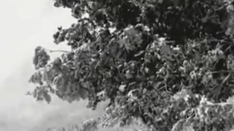 BUFFALO SPRINGFIELD - For What It's Worth