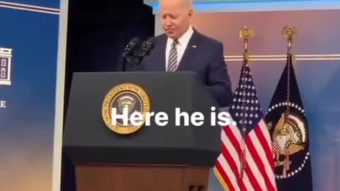 BADEN'S FAKE WHITE HOUSE