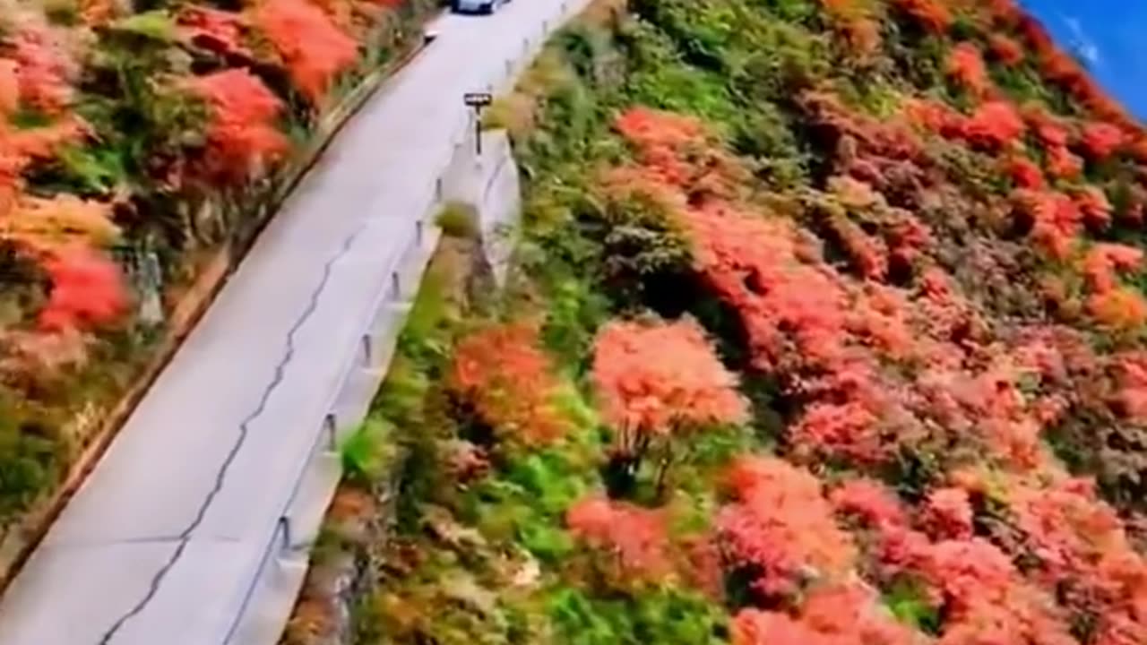 🔴 Music Relaxing , Sleep Music, Stress Relief Music, Spa, Meditation, Yoga, Zen, Sleeping Music