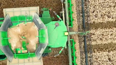 Wheat Harvest with Steve in the John Deere S785i Combine Harvester Cutting