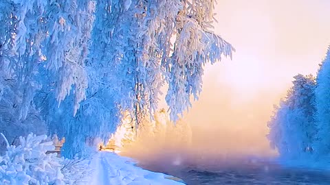 Look at the sky at dawn