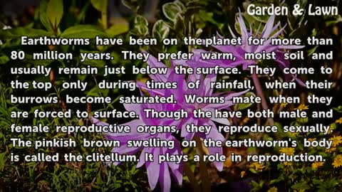 Niche of an Earthworm_Cut