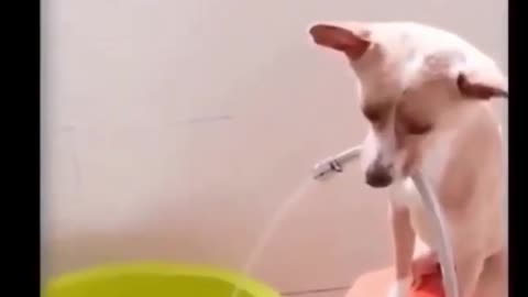 friend holding a hose for girlfriend