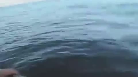 Real? Fighters chase the UFO, but the UFO escapes into the sea
