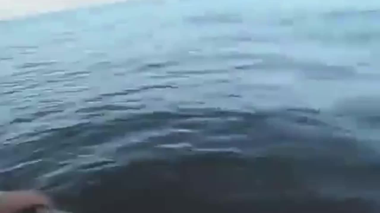 Real? Fighters chase the UFO, but the UFO escapes into the sea