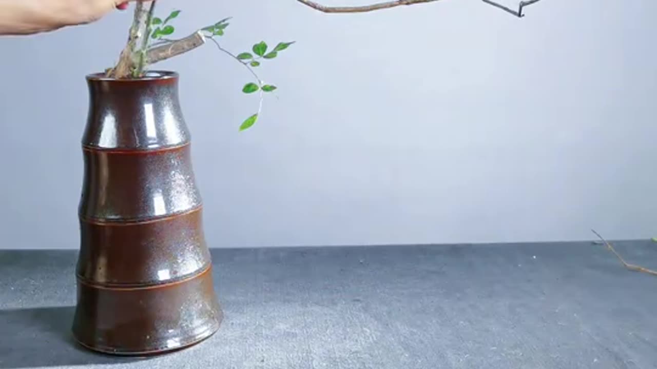 Ikebana 049: Oriental Style Natural Flower Arrangement Artistic Creativity