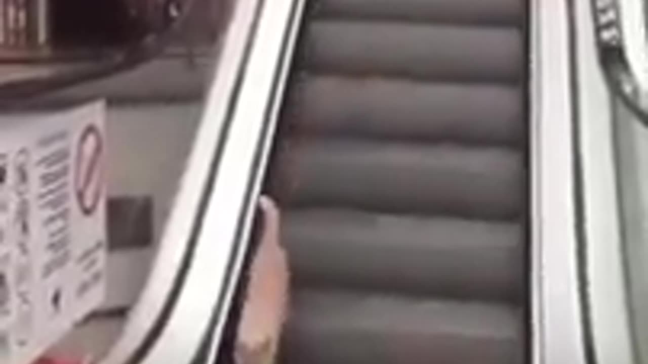 Cute animals 2023 😺🐶 Cute cats and dogs || funny animal videos