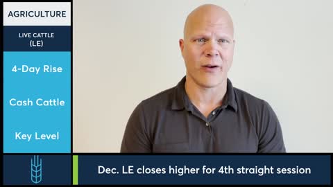 Livestock Market Commentary Ted Seifried, 102022