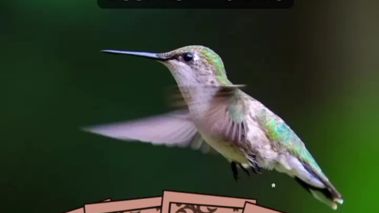 BOOK A READING VIA IG @seremein_ahari_tarotanica