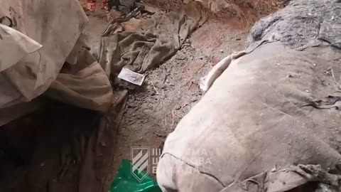 Ukrainian Soldier Takes the Time to Help a Dog During a Firefight