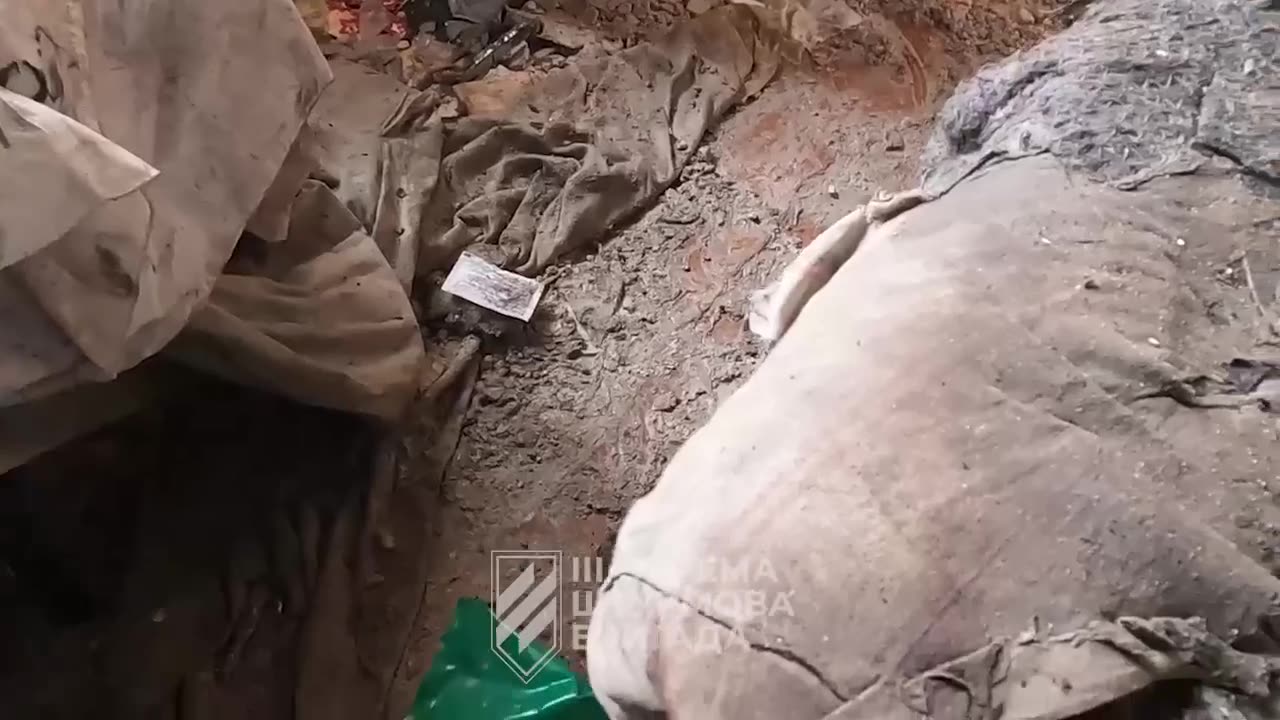 Ukrainian Soldier Takes the Time to Help a Dog During a Firefight