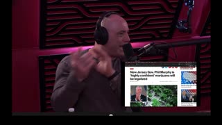 Joe Rogan "Joe Biden is NOT fit for president" Ft. Tim dillion