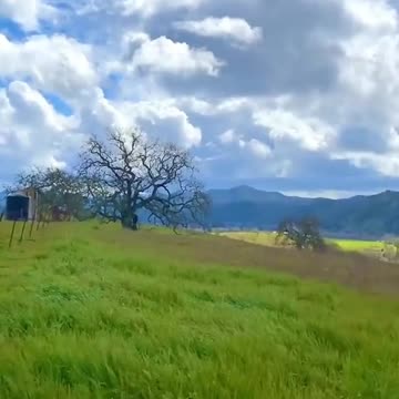 WEF GIobalism Agenda Explained