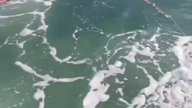 bumping their boat as it breaches the surface.