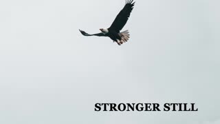 Pray USA, 12/3/22 Stronger Still