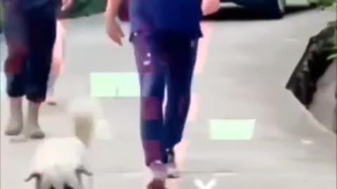Tu suba di pak Hawa warga khan sab
