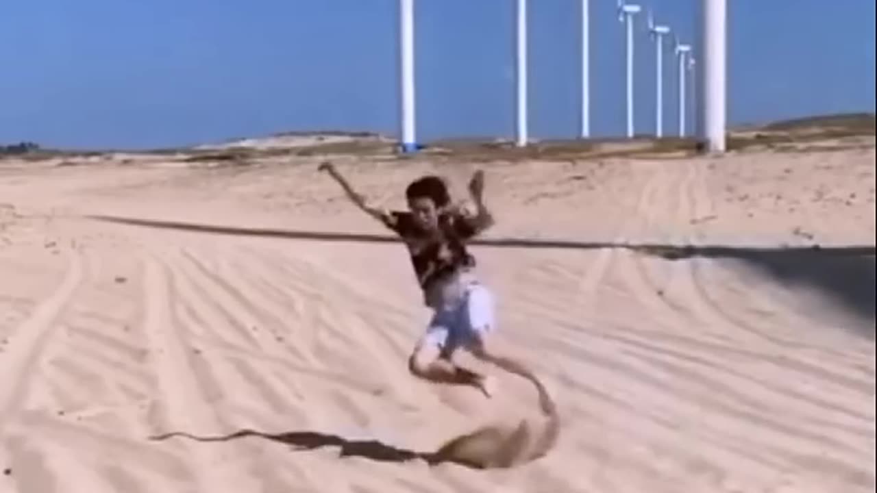 Funny video in desert