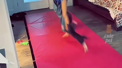 So cute and funny.