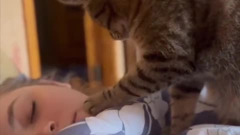 The best kind of alarm.. wakey-wakey cat