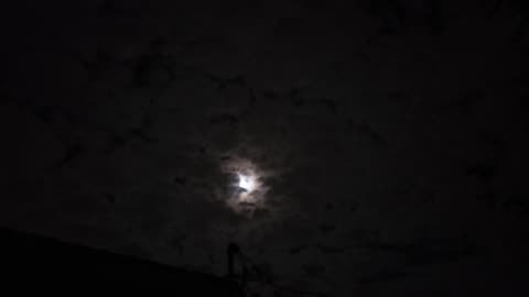 Moon Phoenix