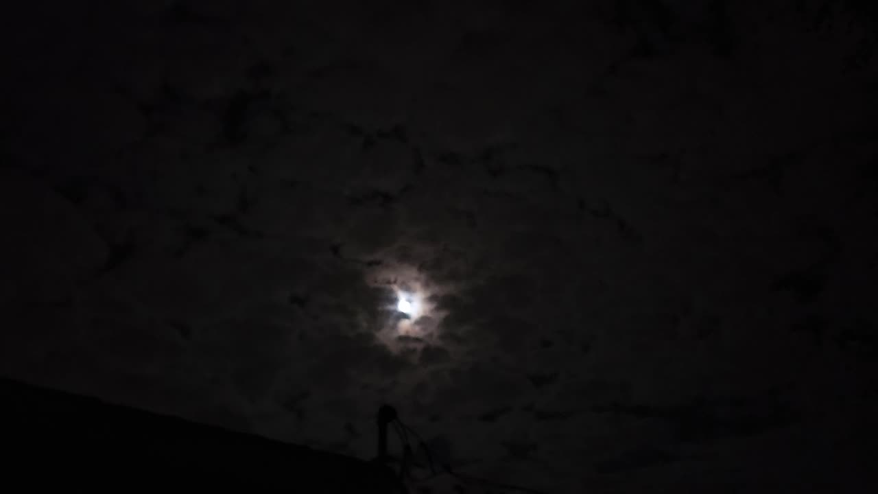 Moon Phoenix