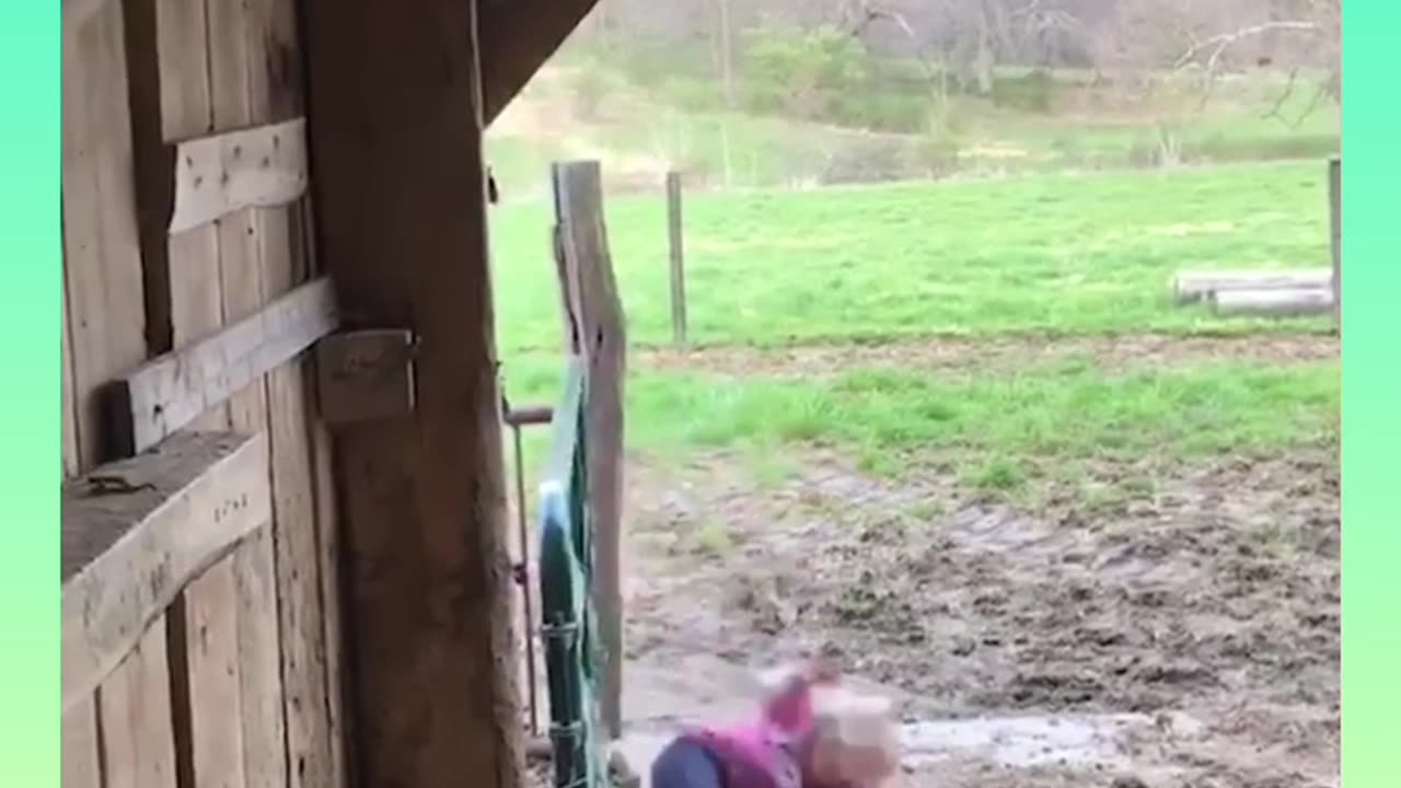 Funny videos for laughs 🤣😂