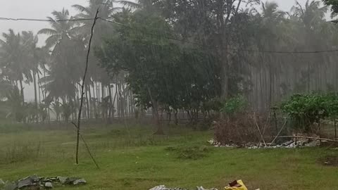 Brother ki Rain