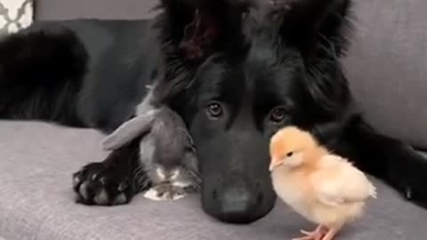Three Friends, We Are Together #shorts #viral #shortsvideo #video