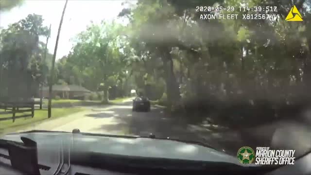 Fleeing suspect tries to rob driver after he crashes his car during pursuit.