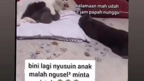 Si oyen minta jatah