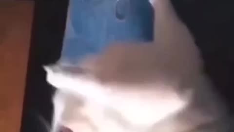 Very funny laugh out loud 😂😅🤣