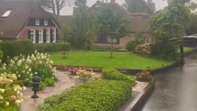 Nature view