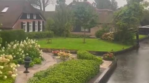 Nature view