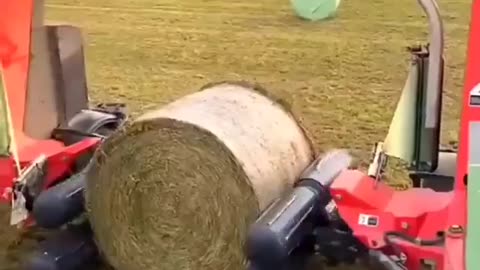 Industrialized Farming