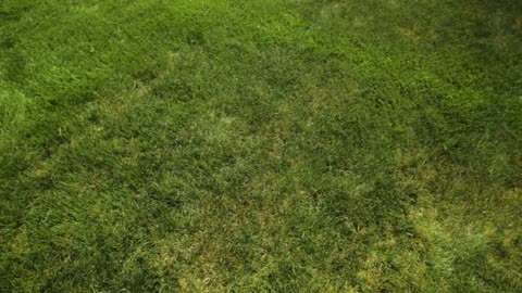 Lawn Watering & Sprinkler Adjustments _ Fix Brown Patches & Overspray