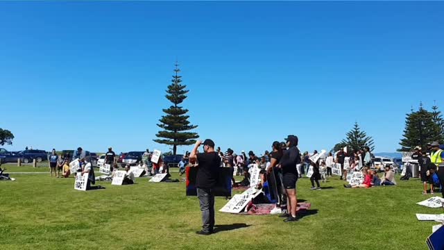 🇳🇿🐑🌿- NZ Freedom Stand in Gisborne
