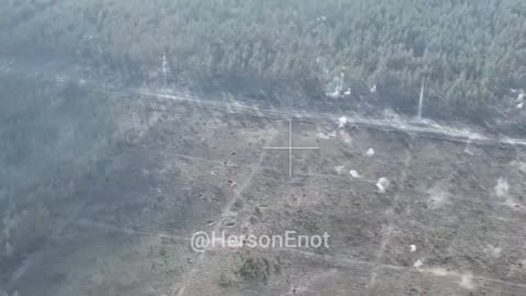 "Terminators" clear the forest