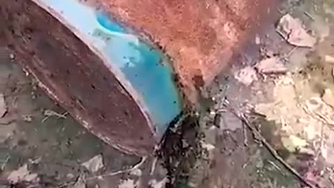 Brain has stopped working