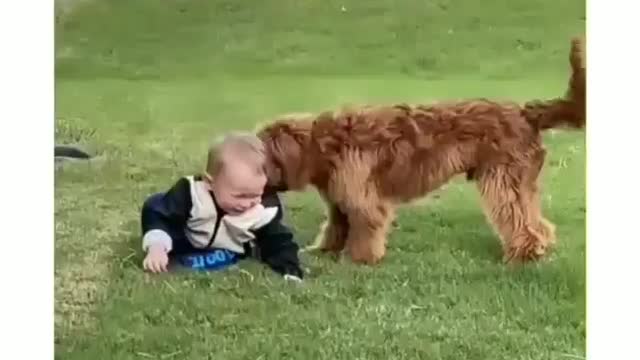 Meanwhile they are having fun